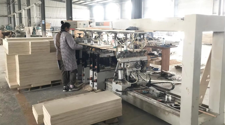 Qingdao Vitalucks Trade Co., Ltd. 工場生産ライン