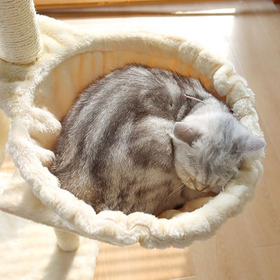 ISO9001 2008 FSCI BSCI 認定 木造猫の木 大型マンションと多層設計