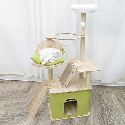シサル 草の柱 と 耐久 木材 の 建築 付き の 多階建て の 猫 の コンドミ ンス