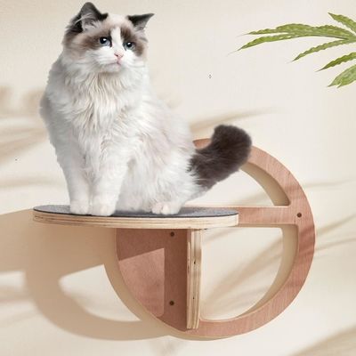 エレガントなワイン包装箱 木の猫 壁の階段 興奮のために棚を登る