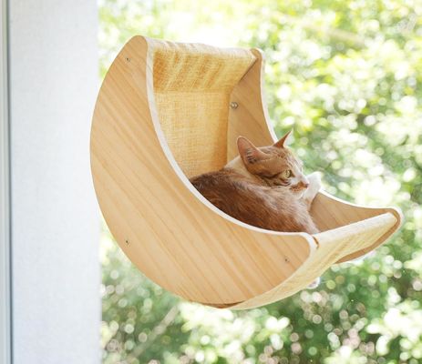 ISO9001 2008 認定 FSCI BSCI 猫のハンマック ベッド棚 強い吸い込みカップを装着