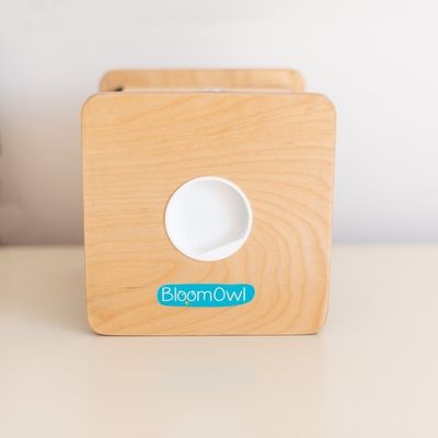 木製 個別化されたコインバンク 子供向け OEM ODM 受け入れ 環境に優しい竹素材