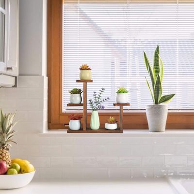 リビングルーム ディスプレイラック 果樹園 広場 環境用 花棚 持ち物