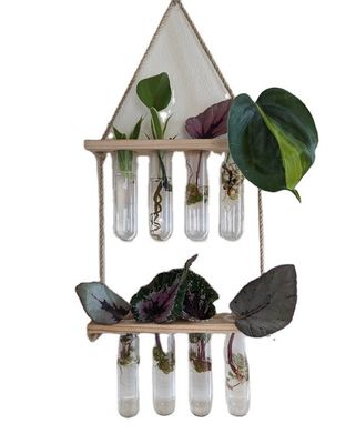 202407 OEM 水栽培用花瓶栽培植物のための植物増殖ステーション スタートステーション