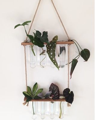 202407 OEM 水栽培用花瓶栽培植物のための植物増殖ステーション スタートステーション