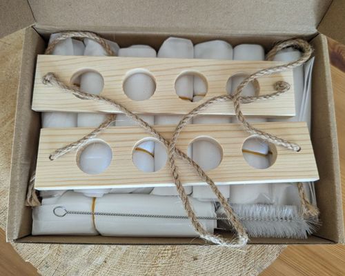 202407 OEM 水栽培用花瓶栽培植物のための植物増殖ステーション スタートステーション