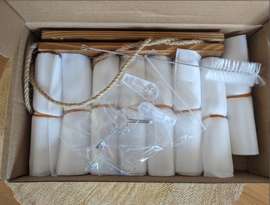 202407 OEM 水栽培用花瓶栽培植物のための植物増殖ステーション スタートステーション