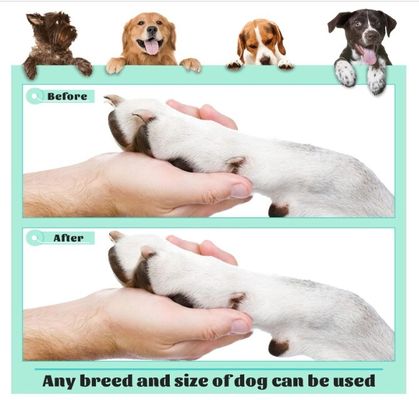 時間とスペースを節約する 202407 犬用ネイル用スクラッチパッド