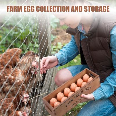 12個の新鮮卵のための木製の卵箱 スタック可能なカスタマイズされたデザイン 貯蔵ボックス