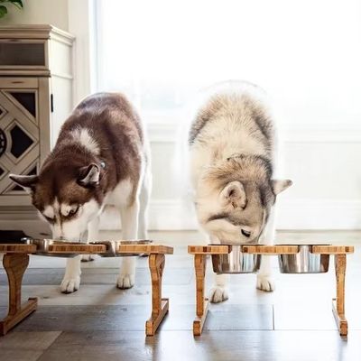 15度傾斜 ペットボウルスタンド オーダーメイド 木製印刷 レーザー彫り 2つの取り外すボウル