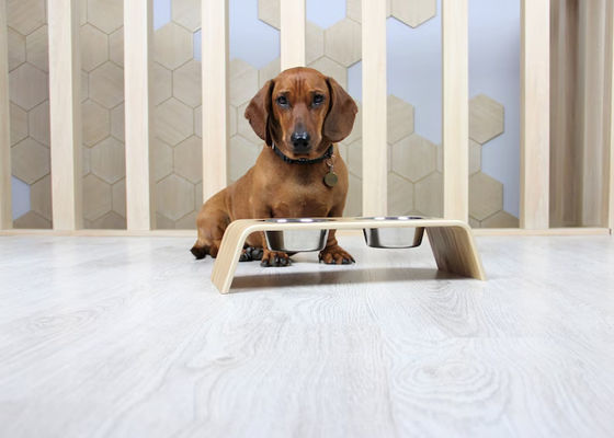 202407 ペットギフト パーソナライズド 木製 スタンド ステンレス ステンレス ステンレス ステンレス ステンレス