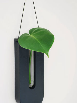 繁殖ステーション ポーチと壁飾りのポットのための現代ミニ 木製ボックス ウォールプランター