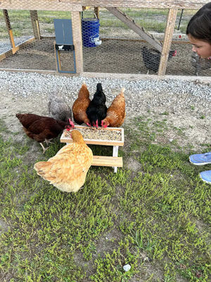 ペットフィッダー ミニピクニックテーブル 小さい動物のためのチキンフィッダー