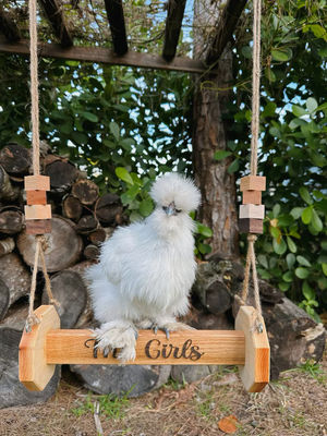 鶏 玩具 壁掛け 猫や動物に適した 猫の居場所