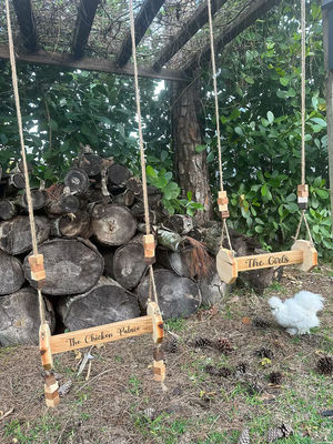 鶏 玩具 壁掛け 猫や動物に適した 猫の居場所