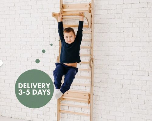 202405 スウェーデンの梯子 4in1 トッドルクライミングジム