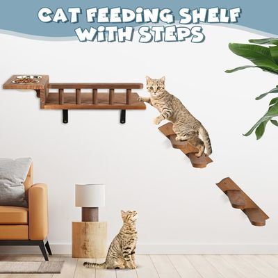 雑多な床にさよならを言って 壁に設置された猫の食器棚