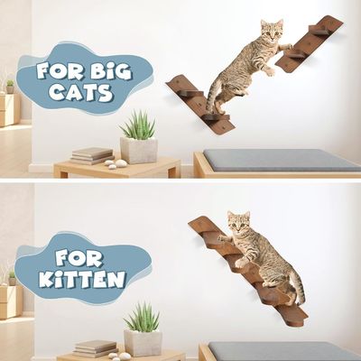 雑多な床にさよならを言って 壁に設置された猫の食器棚