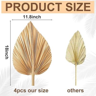 ビタルーックス ロゴ 環境に優しいコンポスタ可能な手 4個 大型天然金 乾燥したパーム葉