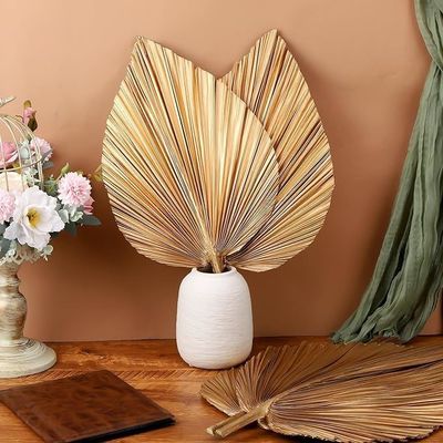 ビタルーックス ロゴ 環境に優しいコンポスタ可能な手 4個 大型天然金 乾燥したパーム葉