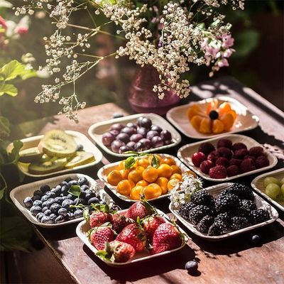 ロマンティックスクエア 生物分解性 アレカ パーム 葉 木製 バンブー プレート 使い捨てパーティー