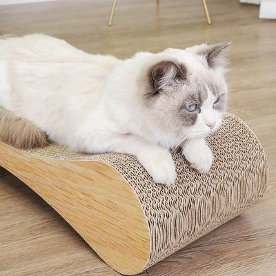 猫 を 幸せ に し,家 を 環境 に 優しい もの に する