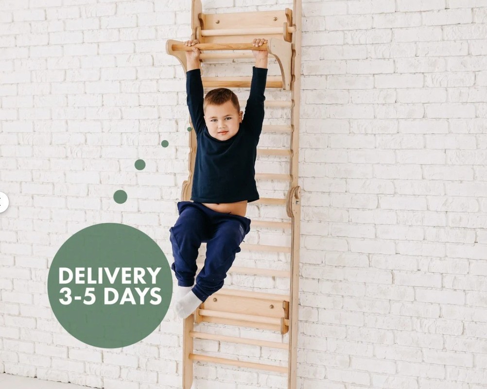 202405 スウェーデンの梯子 4in1 トッドルクライミングジム